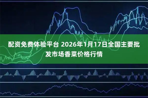 配资免费体验平台 2026年1月17日全国主要批发市场香菜价格行情